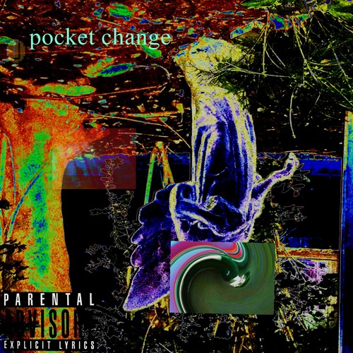 pocket change