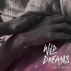Wild Dreams (Set You Free Into) [feat. Isabella Editha, Calvin Zefanya]