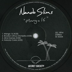 PREMIERE: NANDO SLIMS - BROOKLYN LITMUS ORCHESTRA [Secret Society]