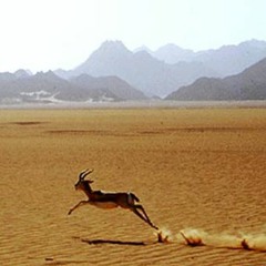 Playlist #4  faster
