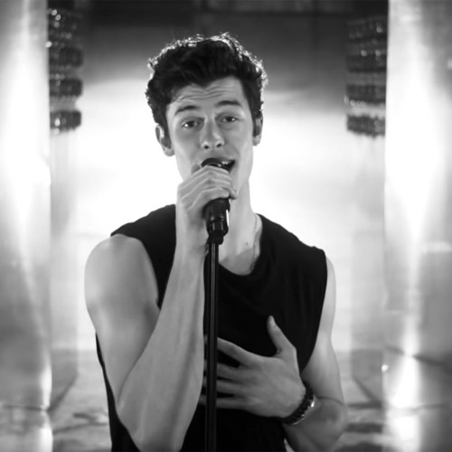 Shawn Mendes - If I Can′t Have You
