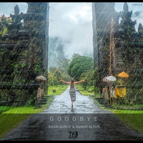 Ilkan Gunuc & Osman Altun - Goodbye (Extended Mix)