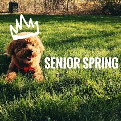 Senior Spring [prod. Hoj]