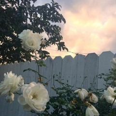 sad type beat (free for profit use)