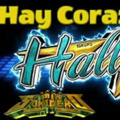 GRUPO HALLEY HAY CORAZON - ANDRES CORONA DJ