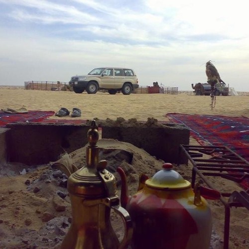 لازم نشوفه