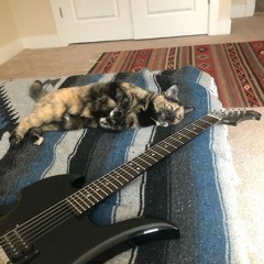Shoegaze, dreampop & psych playlist #219*