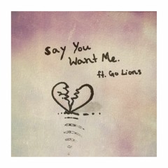 Say You Want Me (ft. Go Lions)