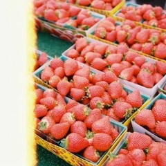 Supermarket Stawberries