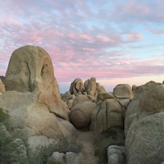 Witness - photographddd song 5