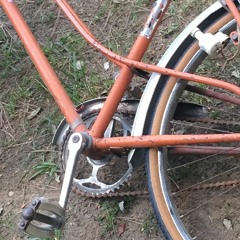 my orange bike
