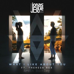 Jonas Blue - What I Like About You Ft. Theresa Rex (ARDIN BOOTLEG)