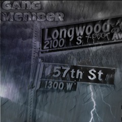 Ft. HunnidBandTori - Gang Member
