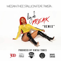 Big Ole Freak(Vintaj Tunes Remix) - Megan Thee Stallion ft. Twista