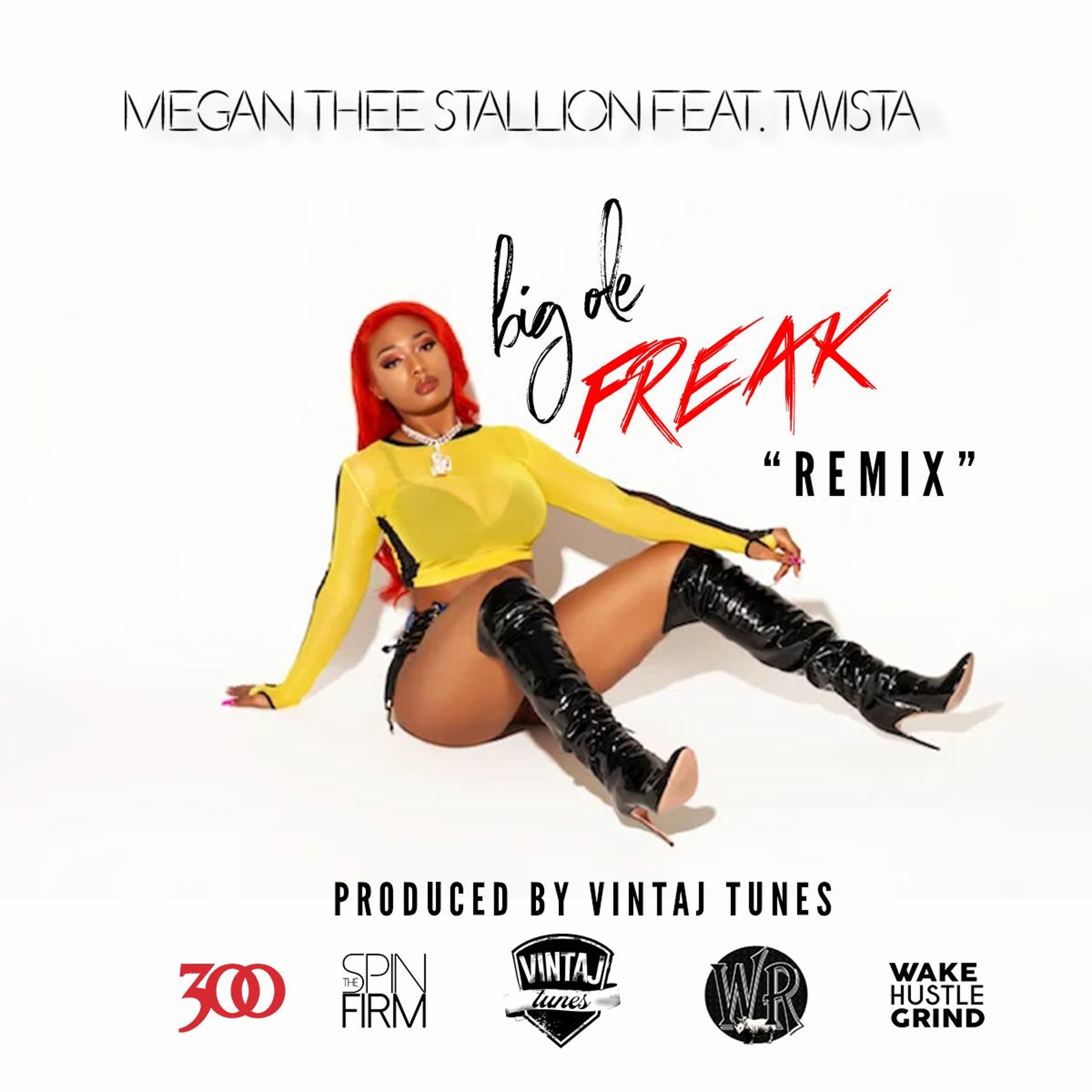 Big Ole Freak(Vintaj Tunes Remix) - Megan Thee Stallion ft. Twista episode artwork