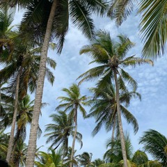 MEDICINA Ft MIGL x TOASTED