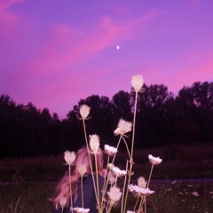 sweeep x godzTHOUGHT - u knew