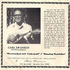 Overworked And Underpaid By Carl Swanson