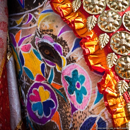 Do-Re-Mi-Fa ...... cyclone