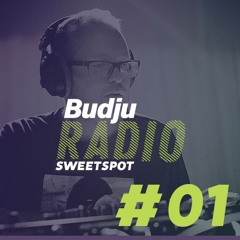 RADIO SWEETSPOT #1