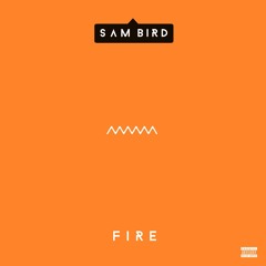 Sam Bird - Fire