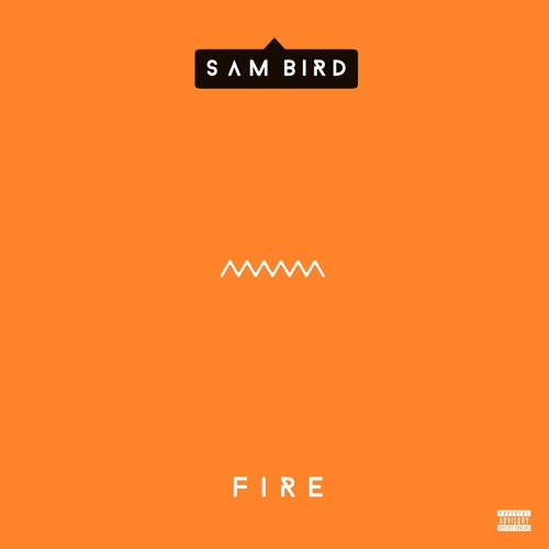 Sam Bird - Fire
