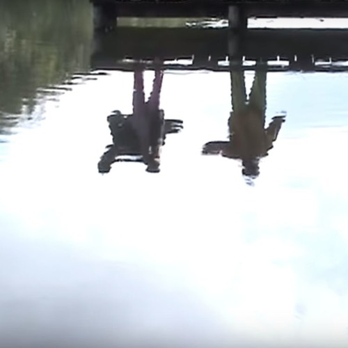 mount airy, georgia — clairo