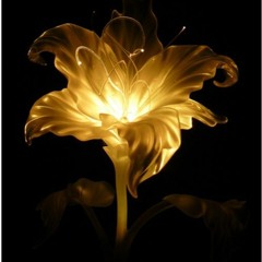 Golden flower