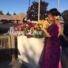 Akape Love (Cover By D’sa)