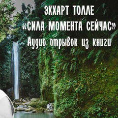 Эрхарт Толле.Сила момента.Глава первая.