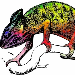 Chameleon - Kigga B, Wavin Moon, ParkLake