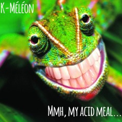 K-Méléon - Mmh, my acid meal...