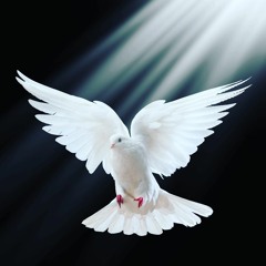 YOUR BOYFRIEND SUCKS (PROD.BY BOODANG)