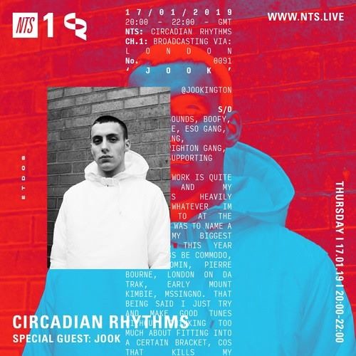 Peverelist - Roll With The Punches (Unknown Remix Ft. AJ Tracey) [Jook CR Mix]