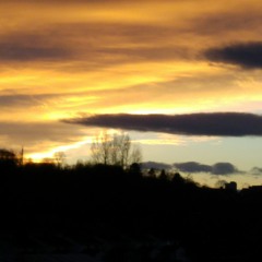 Hope.