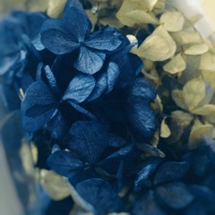 Time To Say Goodbye : vocal sample