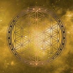 22 Minutes of Bliss Guided Practice #1 Day 5