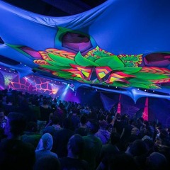 Montti VS Alvanti - Neverland