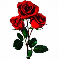 Чміль  Троянди (prod.ESTA)