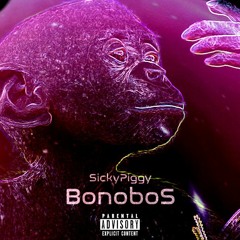 Sicky - bonobos
