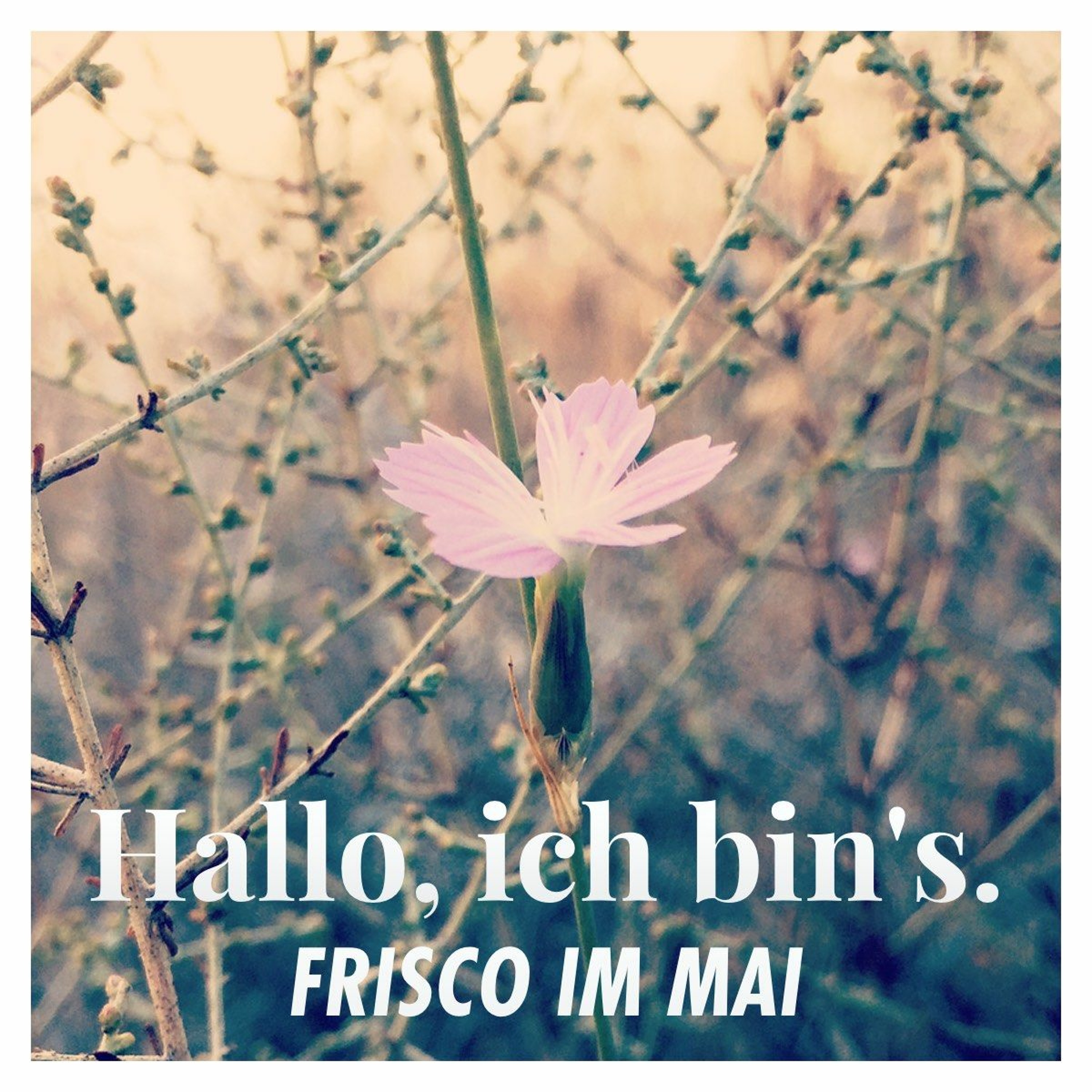 Hallo, ich bin\'s.
