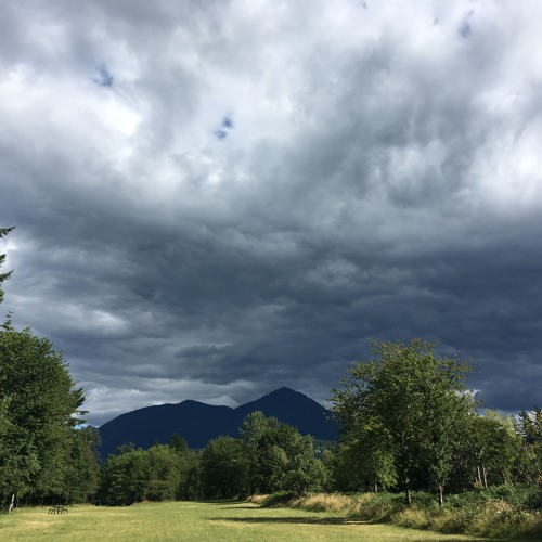 214_May 2019 mix