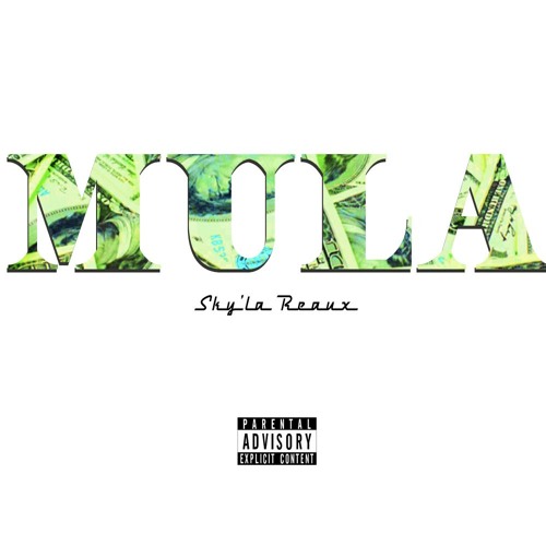 MULA Prod. MixKing -Snippet