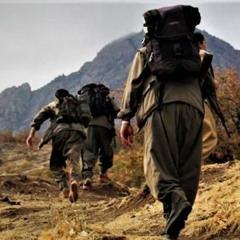 Hozan Şemdîn _ Şere Şere /  هۆزان شه‌مدین _ شه‌ڕه‌شه‌ڕه‌