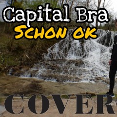 Capital Bra - Schon OK Cover by VEROX_YT (Prod by. Coco Beats)