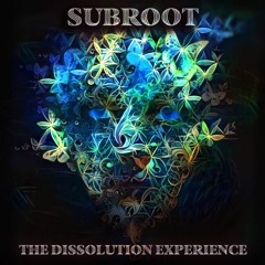 The Dissolution Experience