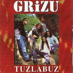 Grizu - Bir Daha Asla