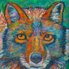 A red eyed Coyote