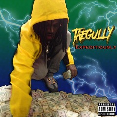 TAEGULLY-EXPEDITIOUSLY