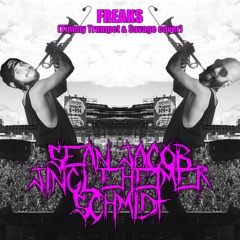 Freaks (Timmy Trumpet & Savage Metal Cover)